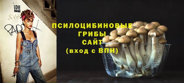 прущая мука Алексин
