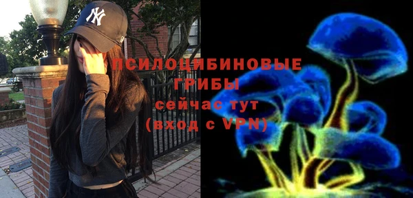 прущие крисы Алексеевка