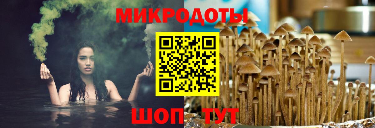 Галлюциногенные грибы Magic Shrooms Арсеньев